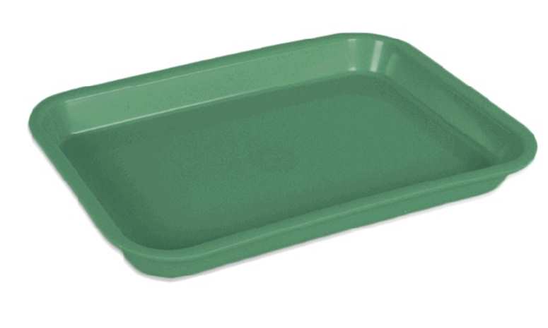 Mini Tray ohne Einteilung grün